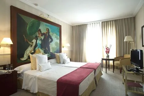 Hôtel Princesa Plaza madrid ESPAGNE