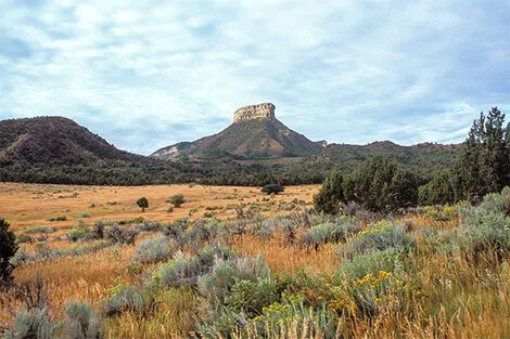 Mesa Verde National Park
