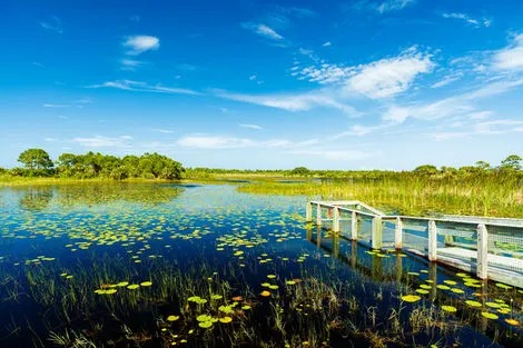 Everglades