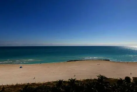 Hôtel Faena Hotel Miami Beach miami ETATS-UNIS