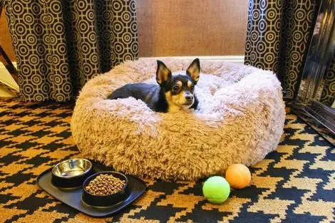 Hôtel Ameritania At Times Square new_york ETATS-UNIS