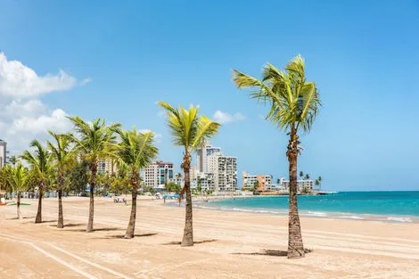 Combiné circuit et hôtel Big Apple en 4 Nuits au Riu Plaza + extension Porto Rico new_york Etats-Unis