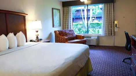 Hôtel Rosen Inn International orlando ETATS-UNIS
