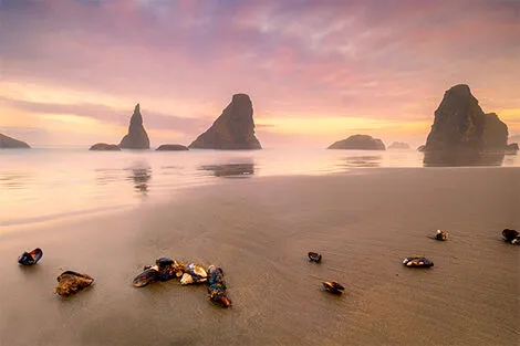 Bandon