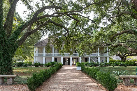 Oak alley plantation