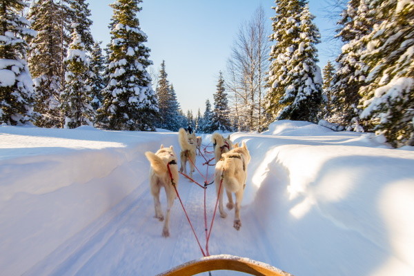 Finlande : Hôtel Séjour activités 