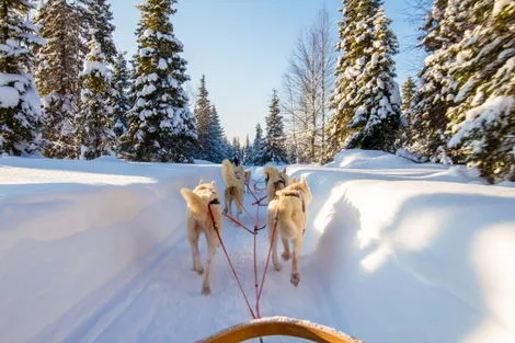 Finlande : Hôtel Séjour activités 