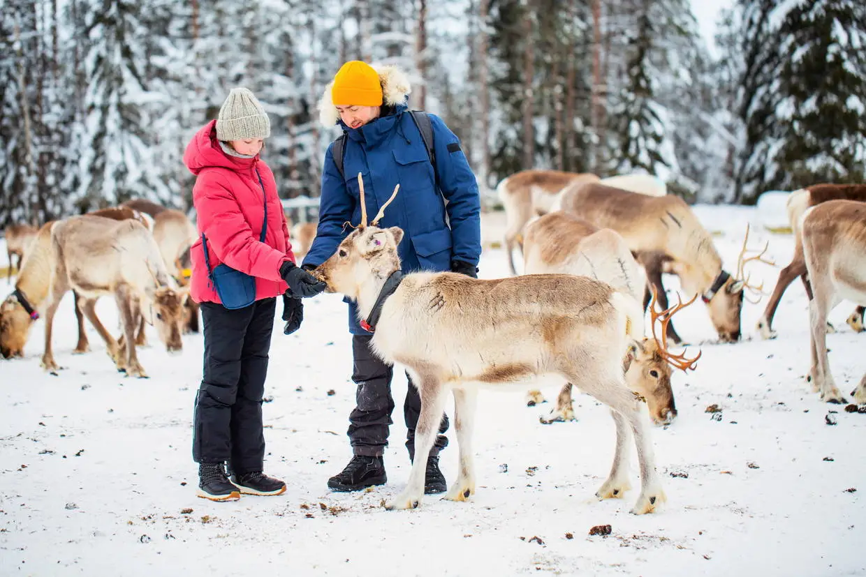 Finlande : Hôtel Santa's Hotel Tunturi Laponie (demi-pension, activités incluses)