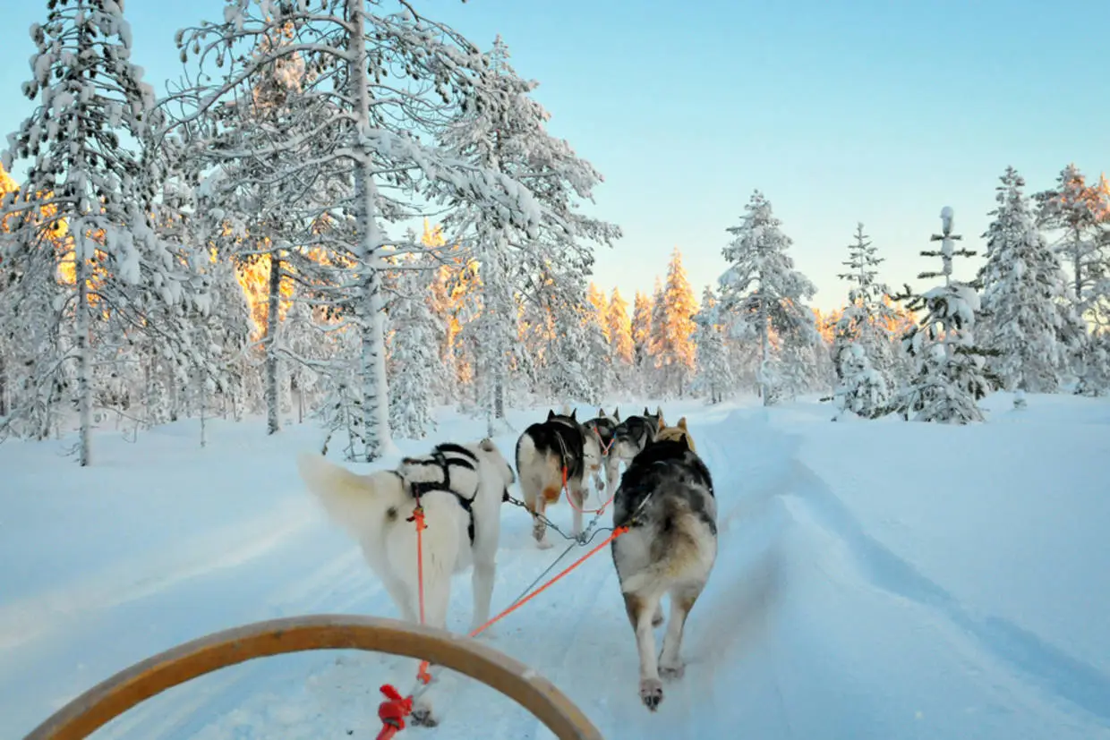Nature - Club Framissima Premium Holiday Club Laponie (pension complète, activités incluses) 4* Ivalo Finlande