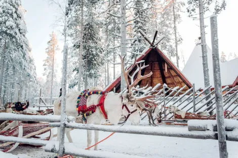 Circuit Échappée Lapone rovaniemi Finlande