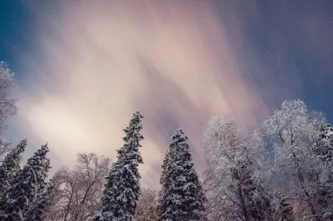 Circuit Privé immersion polaire à Rovaniemi rovaniemi Finlande