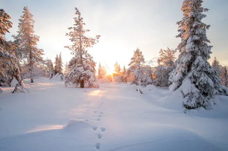 Circuit Séjour multi activités à Suomu - hôtel Suomutunturi rovaniemi Finlande