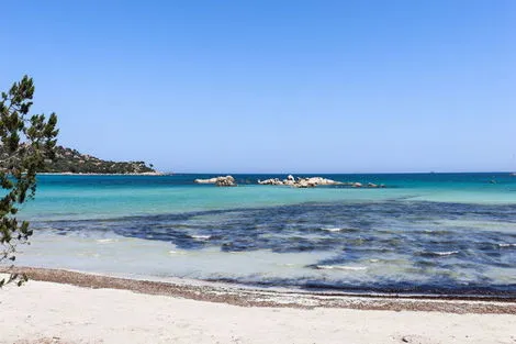 France Corse : Résidence hôtelière Moby Dick