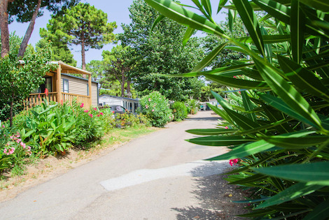 Camping les Jardins d'Agathe agde France