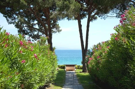 Hôtel La Pinede ajaccio FRANCE