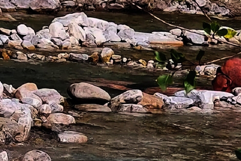 Camping la Ribière annot France