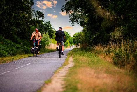 Camping Les Goélands 3* - Plage ares France