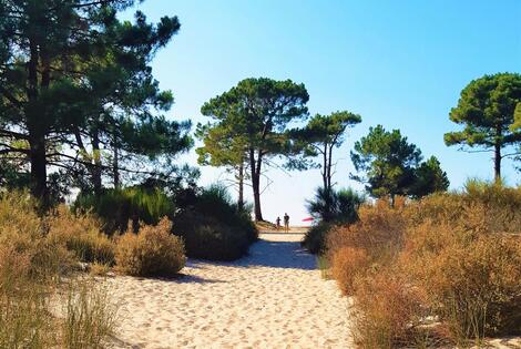 Camping Dolce Vita calvi France