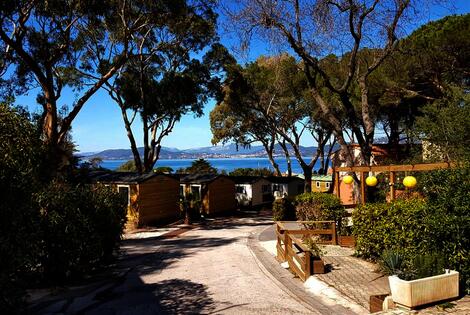 Camping Clair de Lune hyeres France