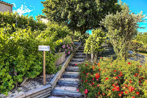 Résidence locative Olydéa - Résidence Les Hameaux des Epesses les_epesses France