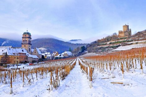 Village vacances VVF La Route des Vins d'Alsace orbey France