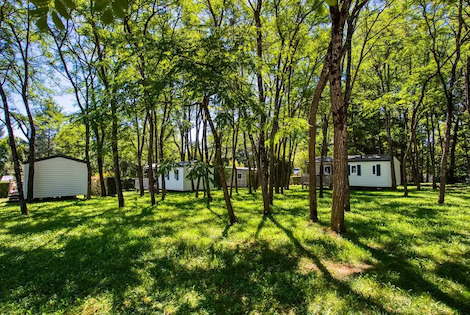 Flower Camping Les Nauves pays_de_belves France