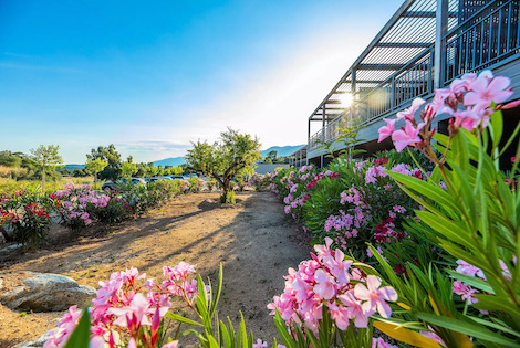 Résidence locative Premium Pierre & Vacances Les Terrasses d'Arsella portovecchio France