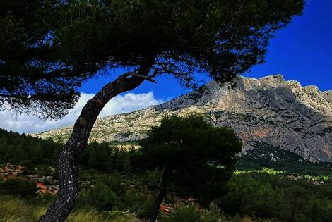 Camping Le Cézanne puyloubier France