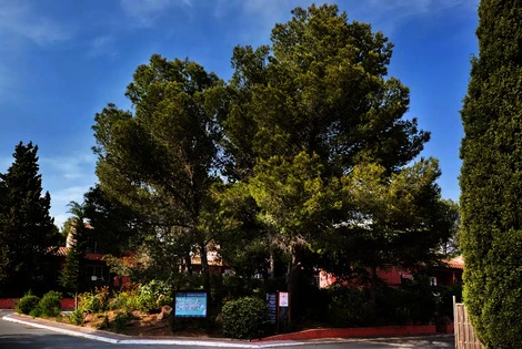 Résidence locative Soleil Vacances Les Chênes Verts saintraphael France