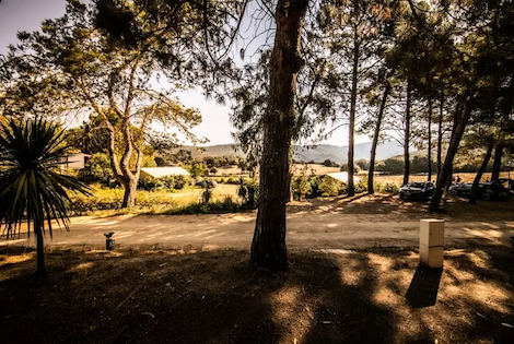 Camping Olva sartene France