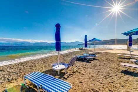 Hôtel Delphi Beach 4* photo 5