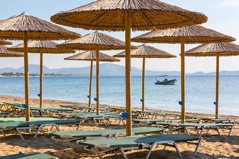Club Marmara Golden Coast 4* photo 4