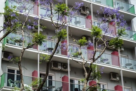 Hôtel Attalos athenes GRECE