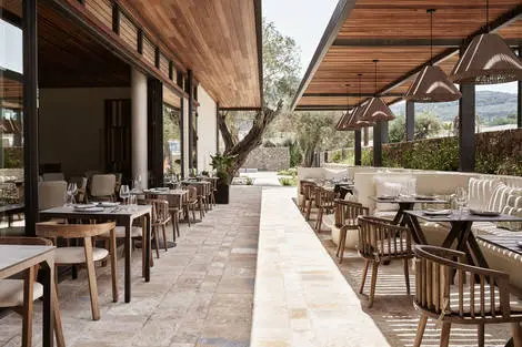 restaurant Flya