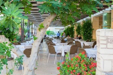 Club Marmara Zorbas Beach 4* photo 10