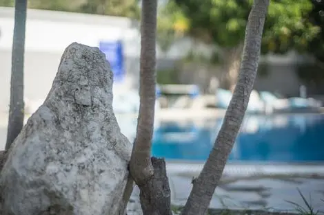 Hôtel Anika Studios ladiko GRECE