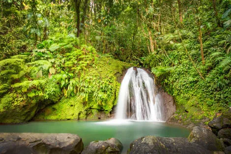 Cascade aux écrevisses