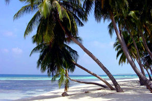 Guadeloupe-Pointe A Pitre, Combiné hôtels Combiné SUP: Guadeloupe à la résidence Saint-François & Martinique à la résidence Diamant Beach + Location de voiture