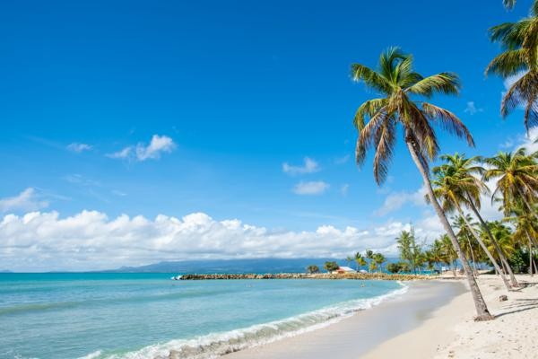 Plage - Arawak Beach Resort - FRAM