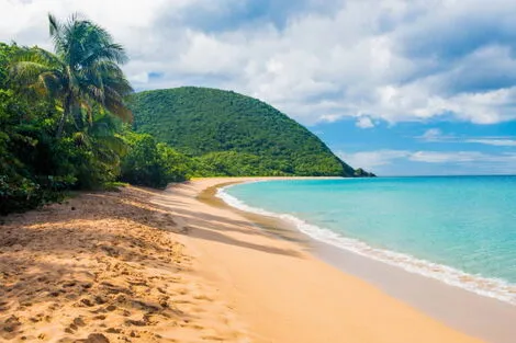 Autotour Sur la Route : Les perles de la Guadeloupe pointe_a_pitre Guadeloupe