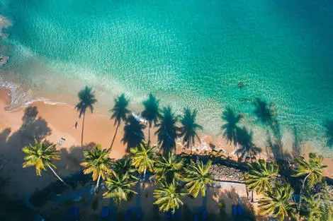 Guadeloupe : Hôtel Langley Resort Fort Royal