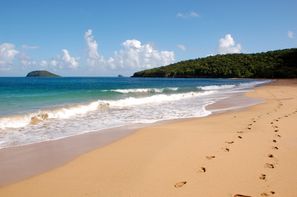 Guadeloupe-Pointe A Pitre, Hôtel Le Rayon Vert + Location de voiture