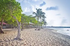 Guadeloupe-Pointe A Pitre, Hôtel Résidence Tropicale + Location Voiture