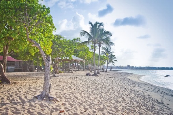 Plage - Hôtel Résidence Tropicale + Location Voiture Pointe A Pitre Guadeloupe
