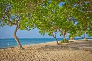 Guadeloupe-Pointe A Pitre, Résidence locative Résidence Tropicale