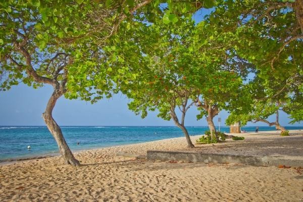 Plage - Résidence Tropicale