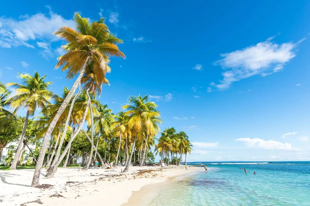 Guadeloupe : Hôtel Résidence Tropicale