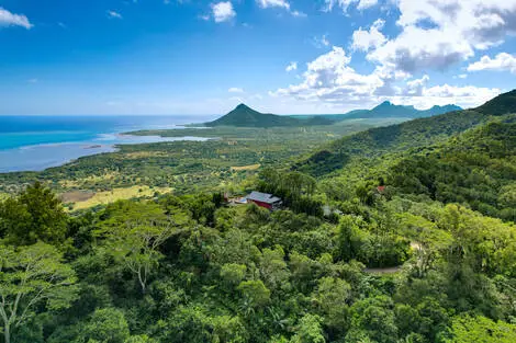 Jungle et panoramas