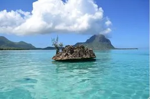 Ile Maurice-Mahebourg, Hôtel Flowers of paradise