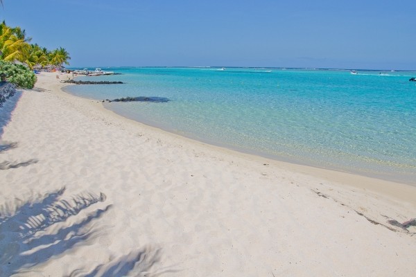 plage à maurice - Sous le Badamier